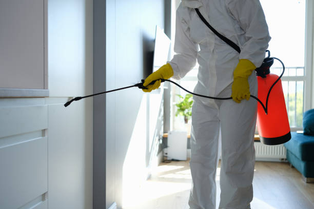 Best Health and Safety Mold Remediation in Ninnekah, OK