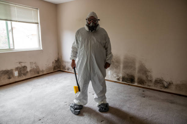 Best Attic Mold Remediation in Ninnekah, OK